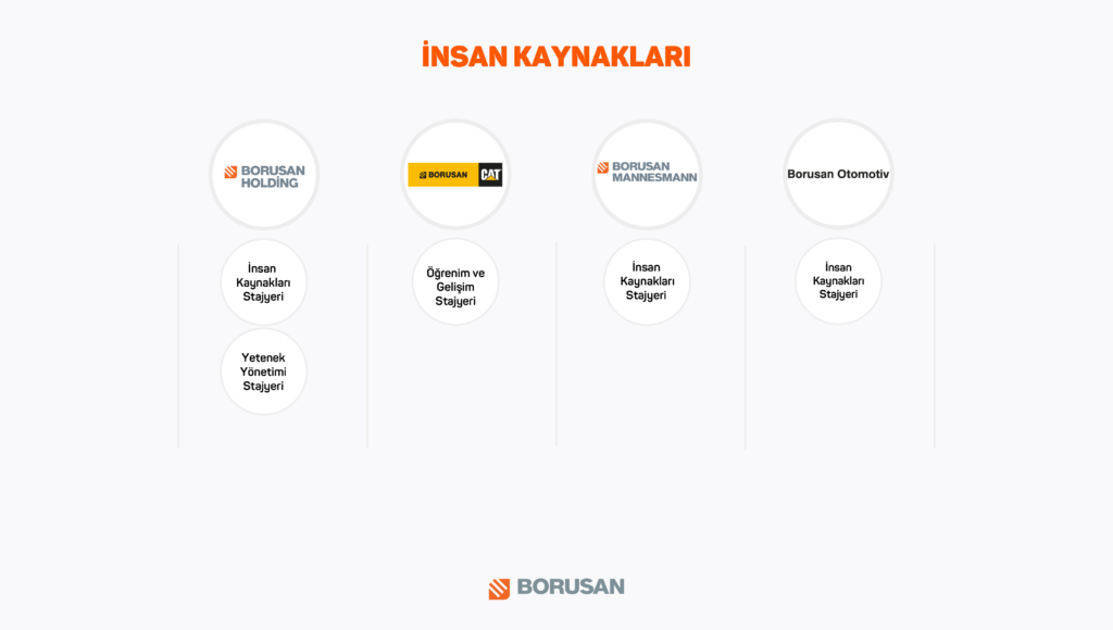 2024'te En Çok Aranan Staj Pozisyonları